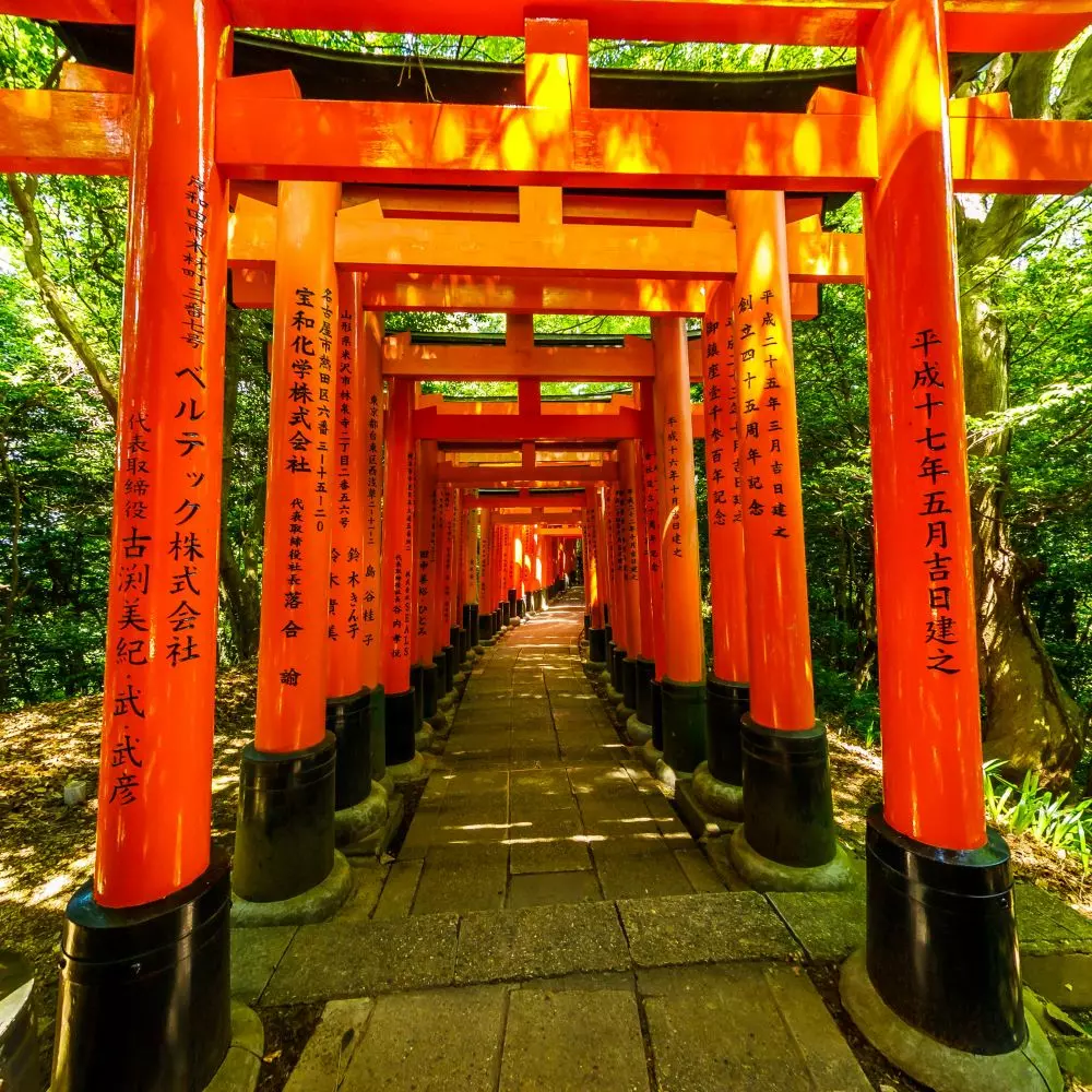 Fushimi Inari Pilliers avec verdure